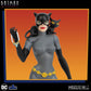 Batman: The Animated Series 5 Points Deluxe Catwoman